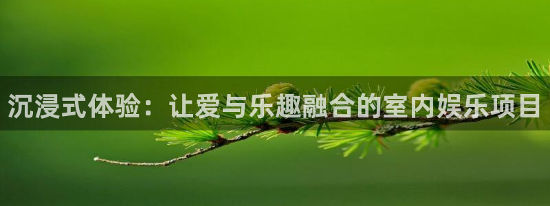 sunbet(中国区)官方网站：沉浸式体验：让爱与乐趣融合的室内娱乐项目