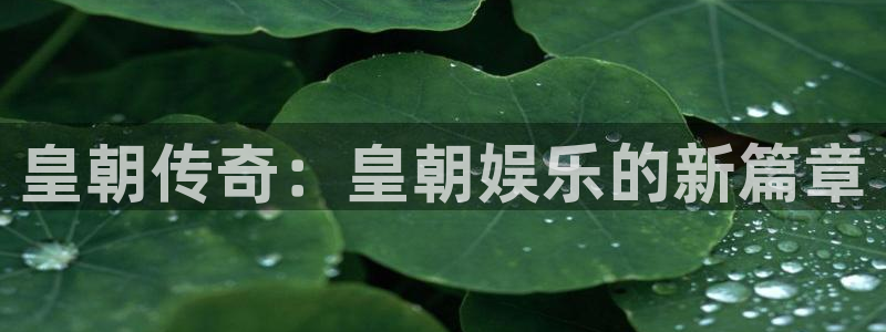 sunbet(中国区)官方网站：皇朝传奇：皇朝娱乐的新篇章