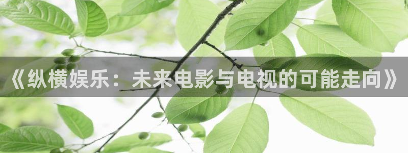 sunbet(中国区)官方网站：《纵横娱乐：未来电影与电视的可能走向》