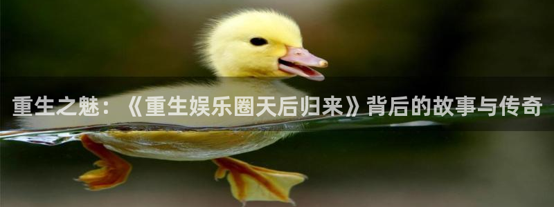 申慱sunbet苹果app：重生之魅：《重生娱乐圈天后归来》背后的故事与传奇